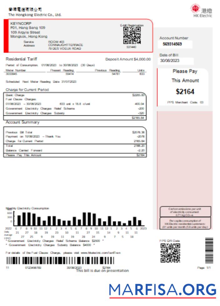 Printable Hongkong Electric Company utility business bill SCR example